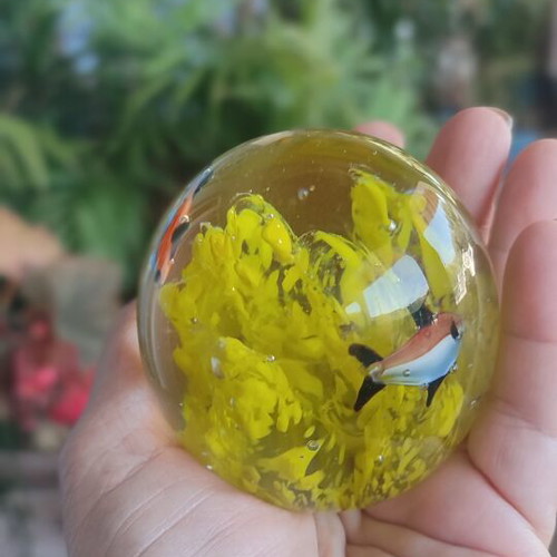 Crystal ball with yellow seaweed and orange black fish new