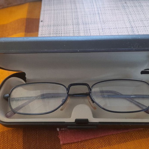 Reading glasses with frame and case
