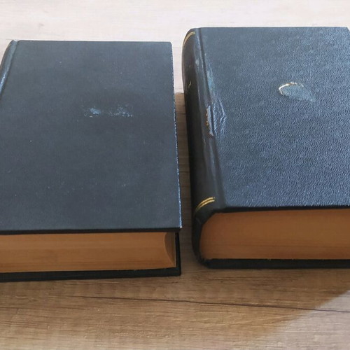 French-Greek and Greek-French Dictionary used, two volumes, 1934