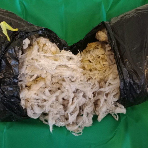Sheep wool new, unprocessed and washed for knitting