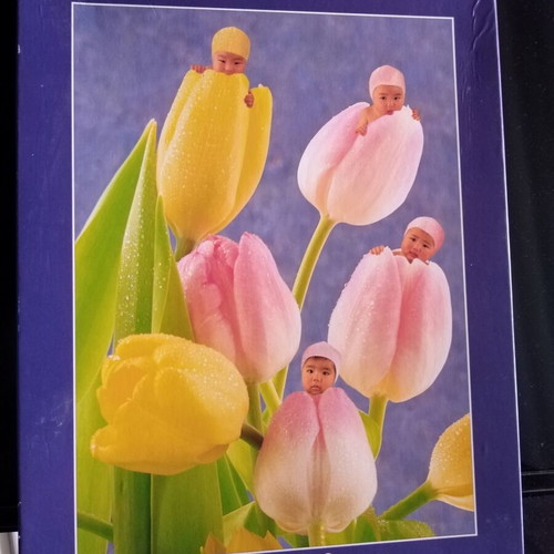 Anne Geddes Puzzle 1000 pieces Schmidt brand, spring tulips