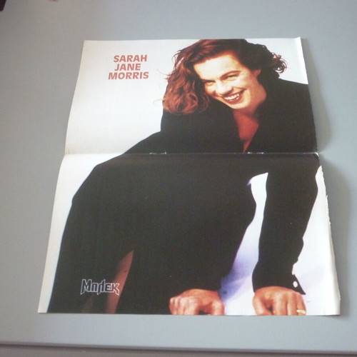 Genesis Sarah Jane Morris double collectible poster used