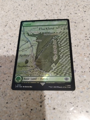 Magic the Gathering Forest (V.1) The Lord of the Rings Tales of Middle-earth surge foil καινούργιο