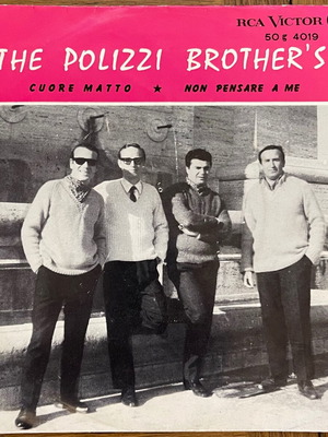 The Polizzi Brothers Cuore Matto Non Pensare A Me 45 used