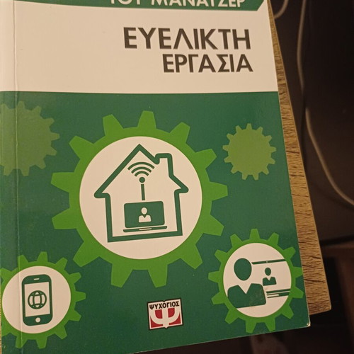 The Manager's Handbook Flexible Work new, Greek
