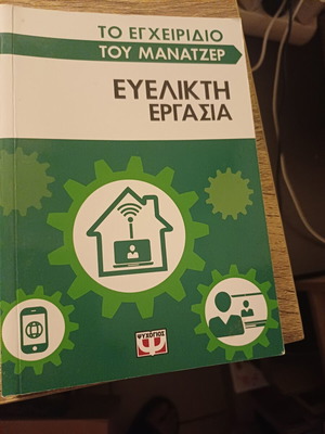 The Manager's Handbook Flexible Work new, Greek