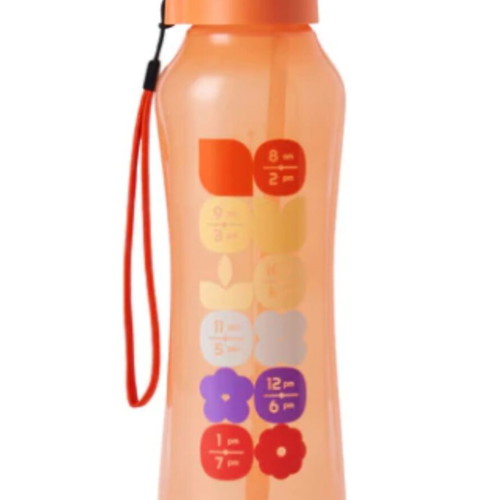 AquaVibe 1.2 l bottle new with straw and hydration markers