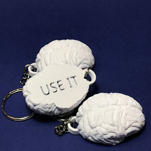 Brain Use It 3D Printed Keychain New