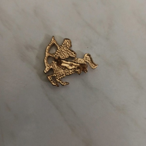 Sagittarius zodiac pin like new
