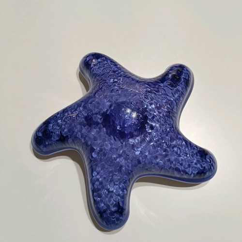 Cloud-b Tranquil Starfish Night Light