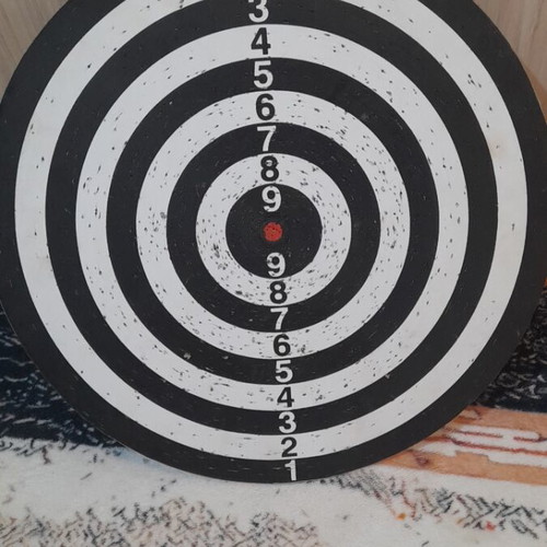 Darts used with 6 darts included