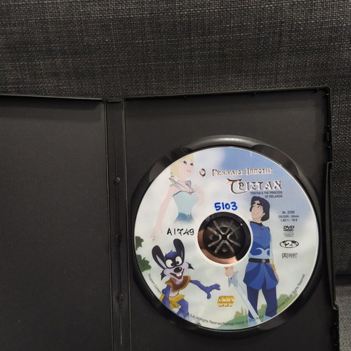 The Brave Knight Tristan DVD used, dubbed