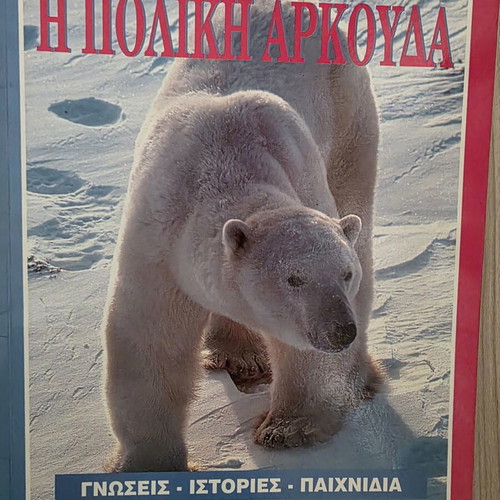 Children's Book The Polar Bear like new, educational