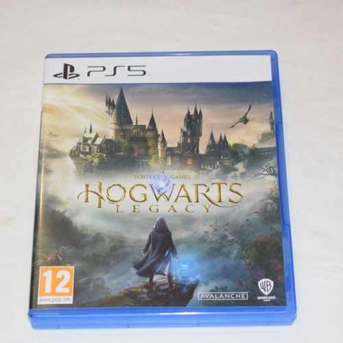 Hogwarts Legacy PS5 game