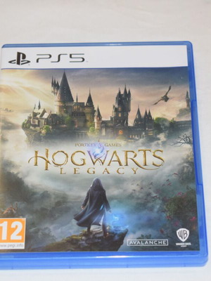 Hogwarts Legacy PS5 game