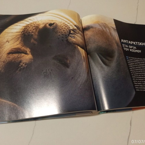 The Encyclopedia of Animals Volume 10 used, Penguins and Southern Pole Animals