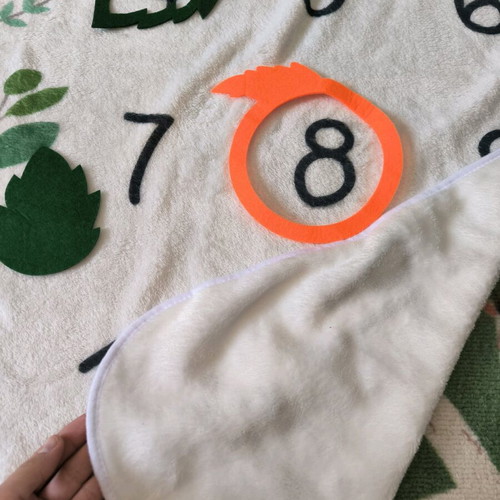 Queen Mother baby fleece photo blanket new, 100x150 cm