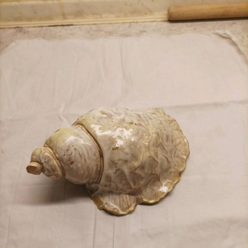 Decorative ceramic shell hand-painted like new