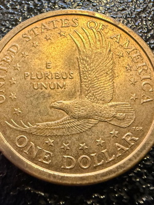 Sacagawea Dollar used
