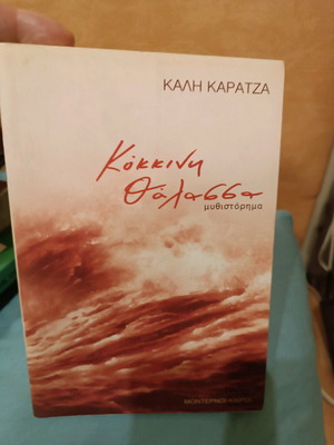 Red Sea novel like new