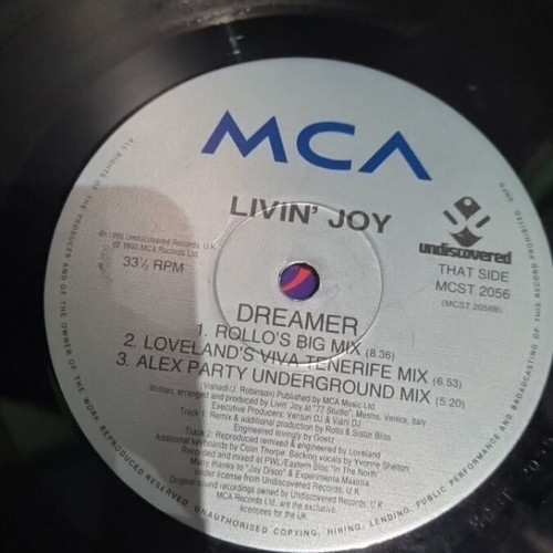 Vinyl Livin Joy Dreamer used