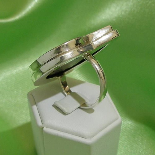 Ammonite ring in 925 silver new