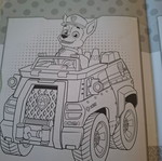 Paw Patrol coloring book