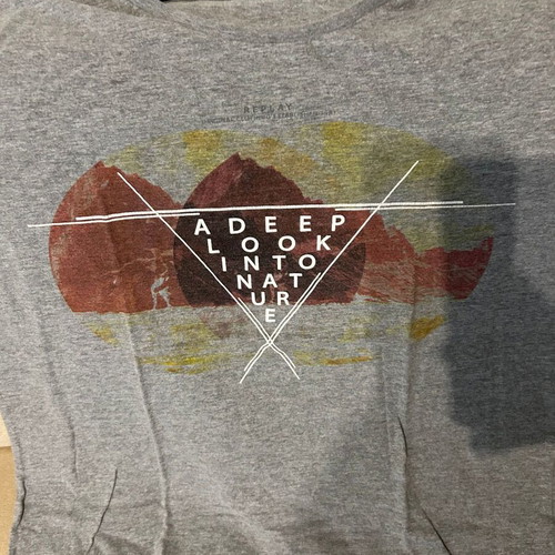 Replay gray short-sleeve t-shirt size Large like new