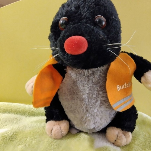 Buddel mascot like new