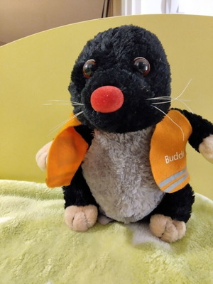 Buddel mascot like new