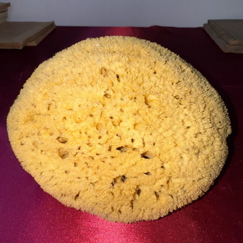 Natural sponge from Kalymnos used