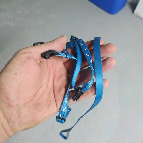 Cat accessories used, harness and interactive laser toy