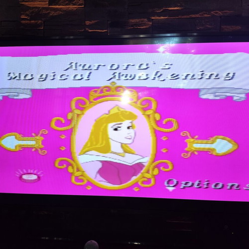Jakks Pacific Disney Princess TV Game used with 5 mini games