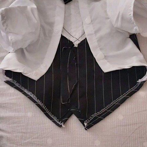 Dog clothing like new for small pet