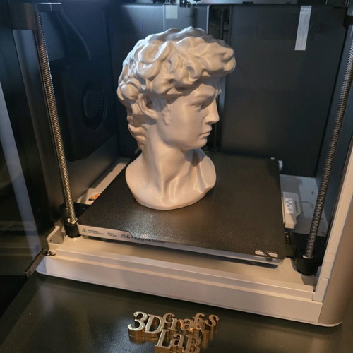 David bust by Michelangelo 3d printed new, about 20cm