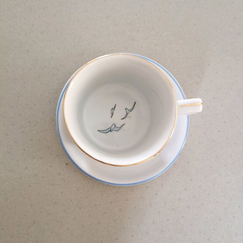Thasos Crown Regent porcelain cup new with saucer
