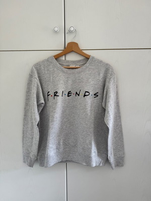 H&M x Warner Bros Friends sweater like new, size S, gray