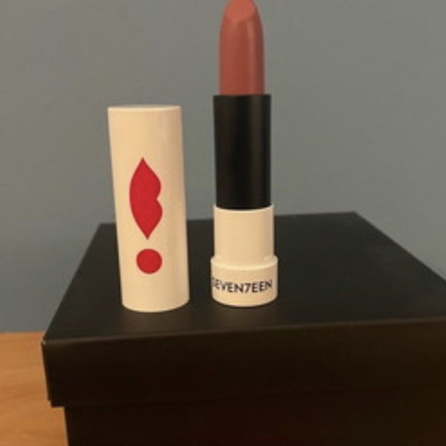 Seventeen Matte Lasting Lipstick shade 48 with gift