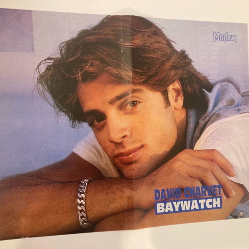 Charles Barkley David Charley Poster like new from magazine ΜΠΛΕΚ