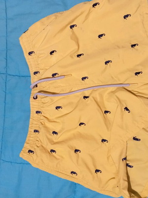 swimwear men