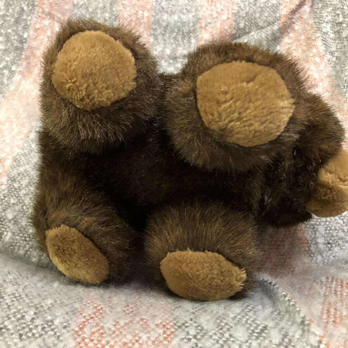 Plush teddy bear toy used, sound not working