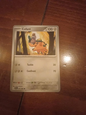 Pokemon card new
