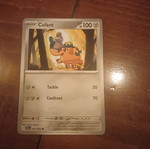 Pokemon card new