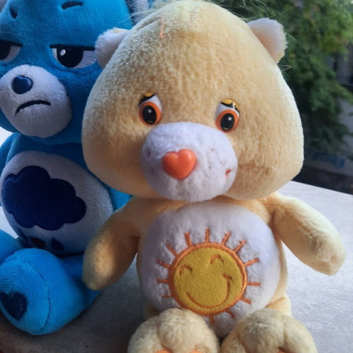 Lot of 2 original Care Bears plush toys (Grumpy & Funshine)