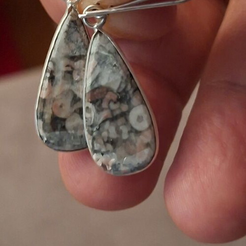 Fossil Crinoid Earrings silver plated 925 new