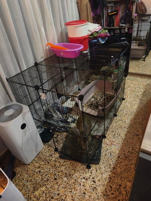 Multipurpose Pet Cage with 29 Panels and 2 Doors, Black, 210x70x35cm