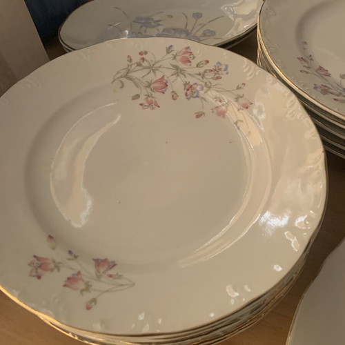 Floral vintage dish set used, includes 10 plates, 1 large platter, 2 small platters