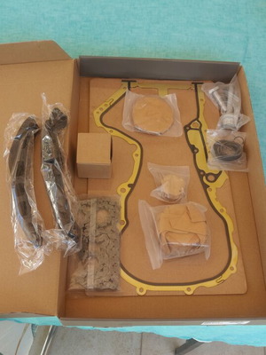 Audi 1.6FSI Timing Chain Set new