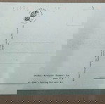  Καρτ ποστάλ - ΠΕΛΛΑ - Ψηφιδωτόν δαπέδου - Κυνήγιον Ελάφου