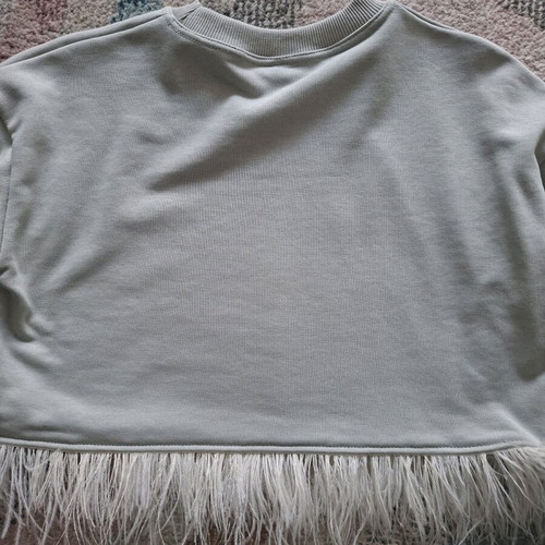 Crop sweatshirt with Dirty Dancing print and feathers, new, grey